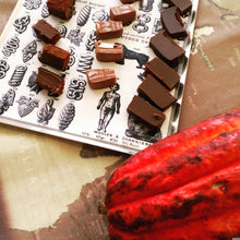 Load image into Gallery viewer, Chocolate tasting on the London Chocolate Ecstasy Tour
